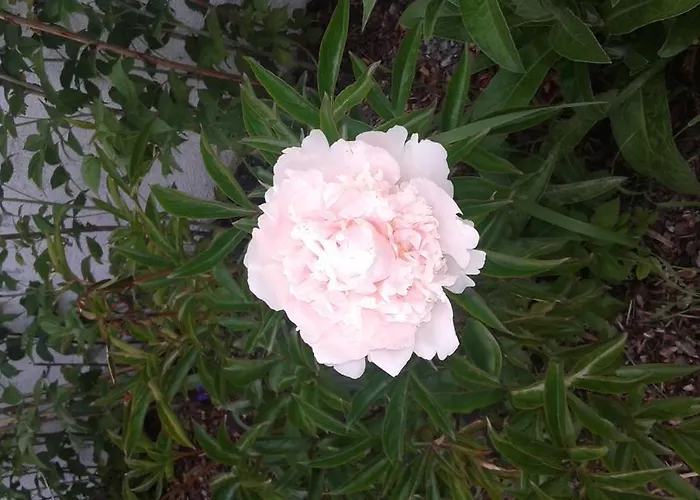 Διαμέρισμα Fabienne *