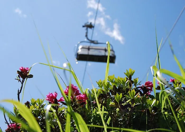 Lejlighed Fabienne *